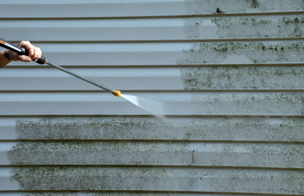 Pressure Washing Services for Businesses in Pascagoula, MS