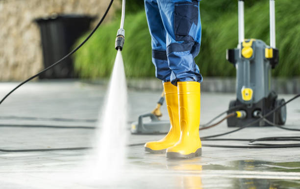 Best Local Pressure Washing Services  in Pascagoula, MS