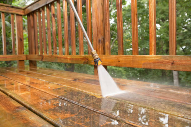 Best Local Pressure Washing Services  in Pascagoula, MS
