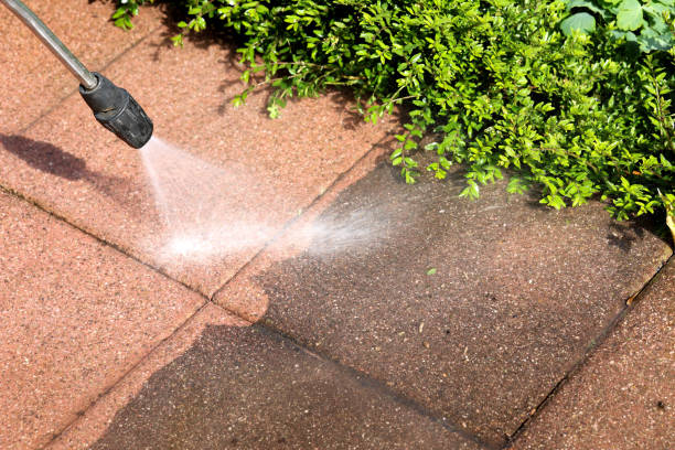 Best Exterior Home Cleaning  in Pascagoula, MS