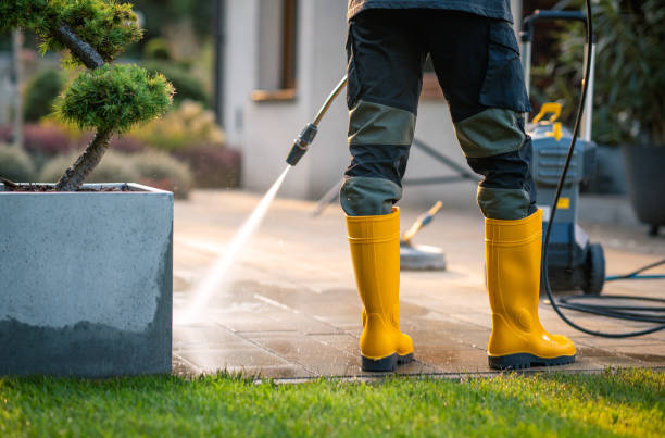 Best Deck Cleaning Services  in Pascagoula, MS